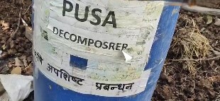 नैनीताल के किसान नरेंद्र मेहरा ने खरपतवार से बनाई जैविक खाद, खेती में लाई क्रांति
