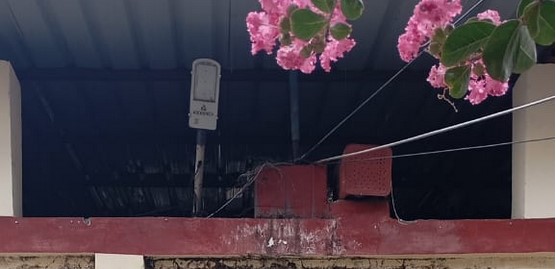 टनकपुर में बड़ी कार्रवाई: सलवानी जंगल से 5.32 ग्राम हेरोइन के साथ नशा तस्कर गिरफ्तार